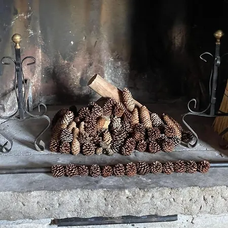 Dell'orso Appartamento *