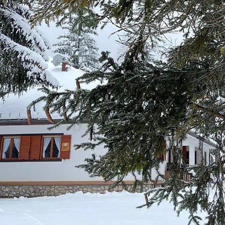 Dell'orso Apartment *